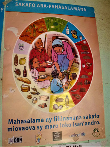 マダガスカル国政府が摂取を推奨する8つの食品群