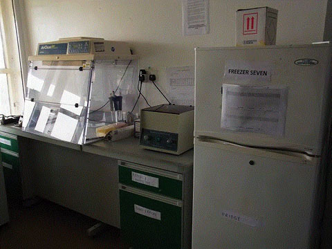 NRL既存棟ポリメラーゼ(PCR)室。PCRワークステーション、冷蔵庫。全館検査室は比較的広く、利用スペースには余裕がある。他方、換気、差圧・気流管理手洗器装備は不十分であり、感染防止、事故等緊急時の対策への配慮が不足している。