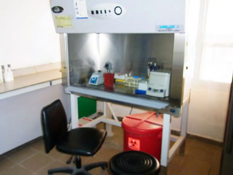 PCR室。バイオセーフティ・キャビネット(クラスI)が稼働中である。メンテナンスおよび校正、検査認証は外部委託にて行っている。