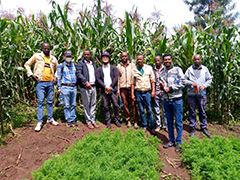Joint survey team and officials of agriculture office in Setema District