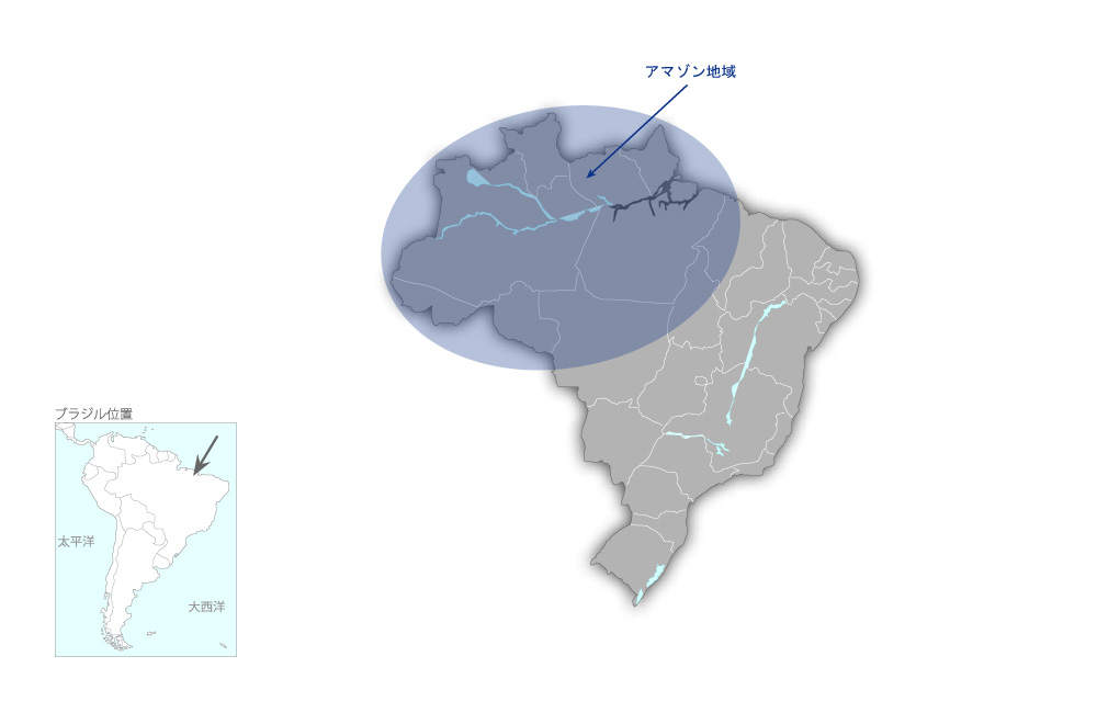 先進的レーダー衛星及びAI技術を用いたブラジルアマゾンにおける違法森林伐採管理改善プロジェクトの協力地域の地図