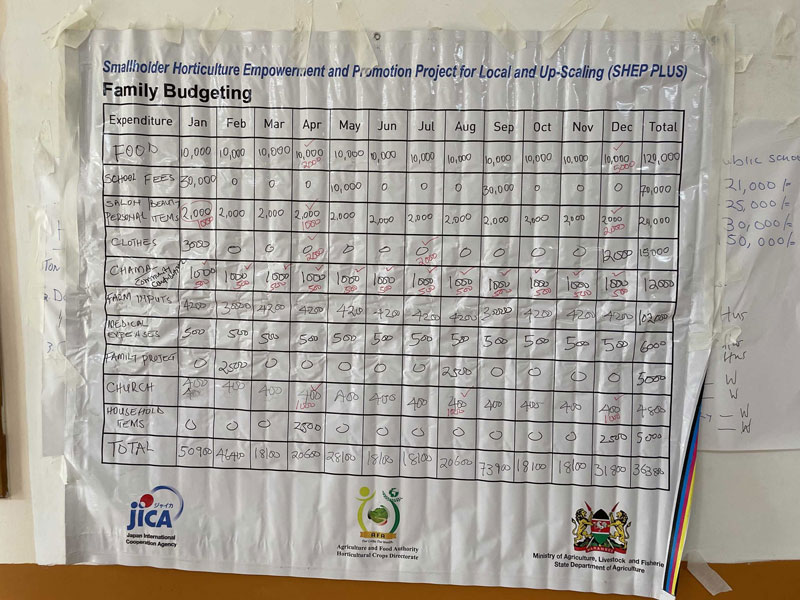 Photo 1 Farm Family budgeting (Women)