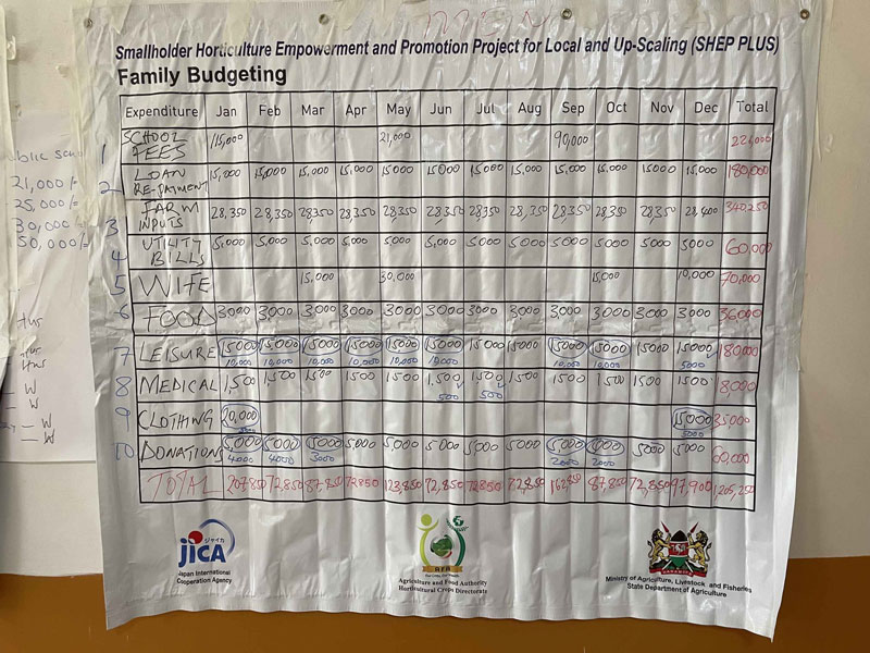 Photo 2 Farm Family budgeting (Men)