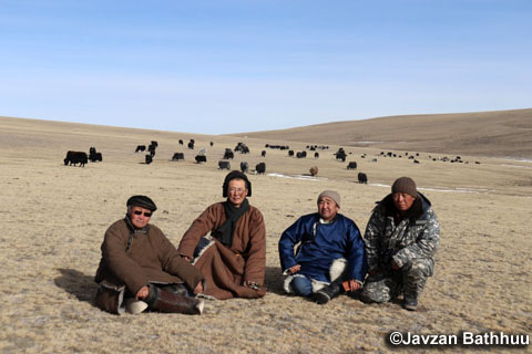 冬家畜が好んで食べている野生の枯れ牧草の採取へ（写真提供：モンゴル国立大学応用理工学部　J.バトフー教授）