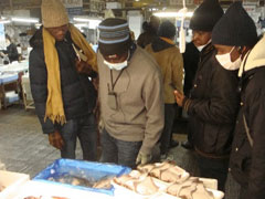 塩釜仲卸市場で魚介類を見学している様子。