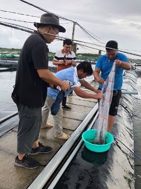 ソクチャン省のCTU水産養殖試験場を視察する小谷先生（左）