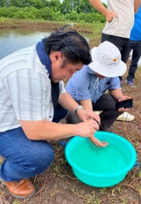 クロホシマンジュウダイの稚魚を調べる遠藤先生（手前）