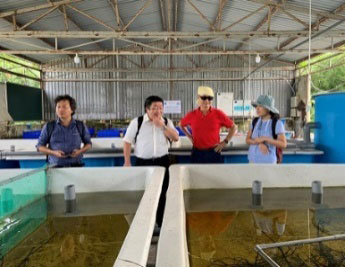 カントー市郊外にあるCTUの淡水水産試験場を視察する遠藤先生（左から二人目）