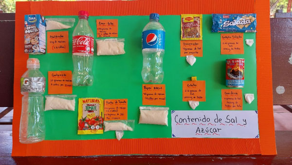 作成された「塩と砂糖」の含有量を示す掲示物