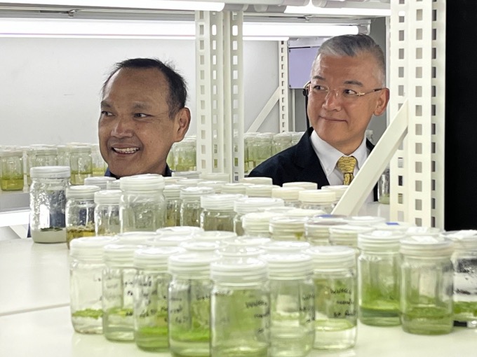 KU President with Prof. Morikawa in Duckweed preservation facility.