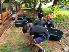 Making Duckweed cultivation facilities in Khon Kaen Univ. campus