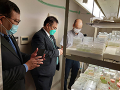 Observation training of the Duckweed Culture Collection at Oyama Laboratory, Kyoto University