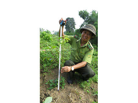 苗木の植え付けを検査する職員