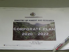 【画像】