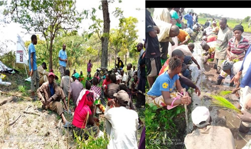 Training and Demonstration on Rice Line Planting in Maheba, Kalumbila District in North Western Province. Picture by Paul Mwansa.