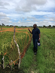 Checking the progress of the test growing