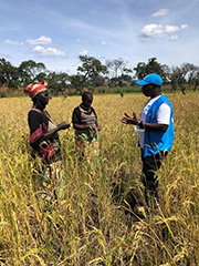 UNHCR officer gives guidance to farmers