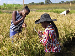 ZARI's researchers conducting a growth survey