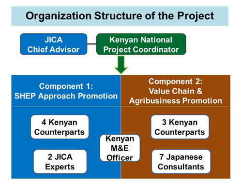 Organizational structure of the Project