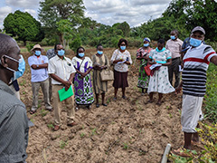 Participants learn from farmers on the crops at the workshop