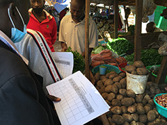 Practice of market survey in the training