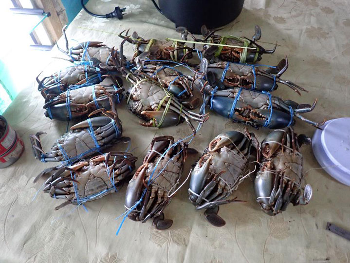 【画像】