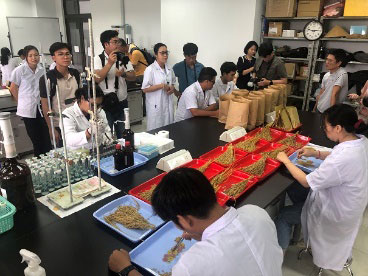 CTU農学部の実験室において本プロジェクト社会実装モデルNo. 1（高品質イネ品種の開発）の紹介をするティさん（中央白衣）