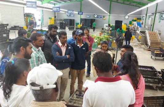 近代市場でのMarket surveyの様子（Keels vegetable collection center、Nuwaraeliya）