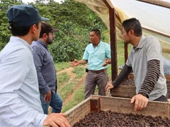 Hearing about drying and distribution of cacao beans