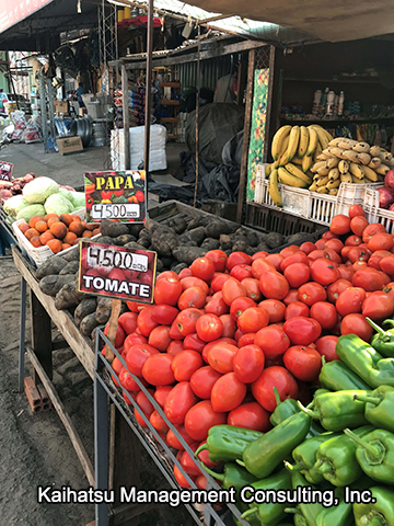 プロジェクト対象地域の市場に並ぶトマト（写真提供：(株)かいはつマネジメント・コンサルティング）