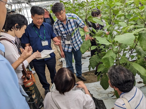 天敵利用技術を活用したなす栽培の見学 （JAみなみ筑後瀬高なす生産部会）