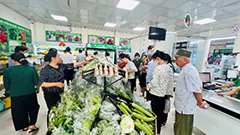 安全野菜販売店を訪問