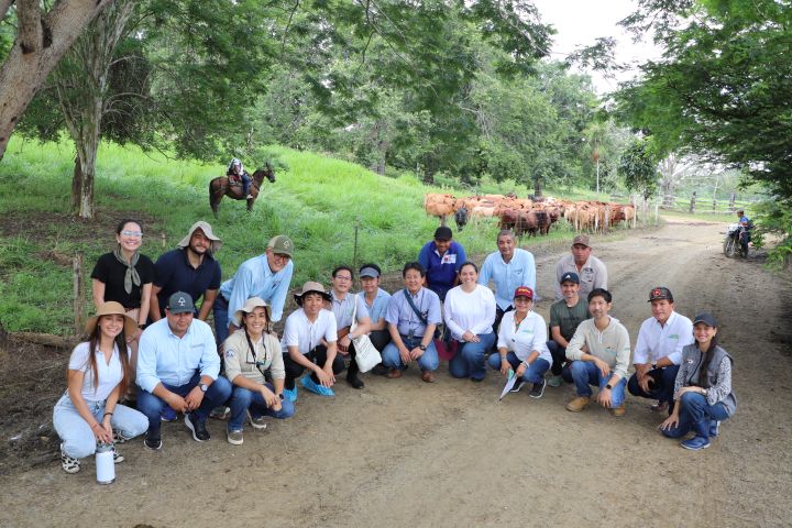 コロンビア：デジタルプラットフォームを活用したルーメン微生物フローラと草地管理の最適化による牛肉バリューチェーン創出プロジェクト