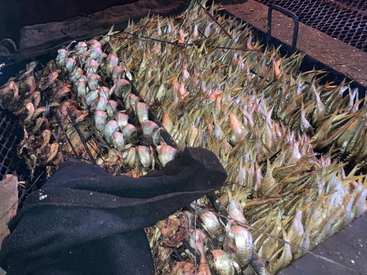 ギニア_燻製加工（ブルビネ水揚場）