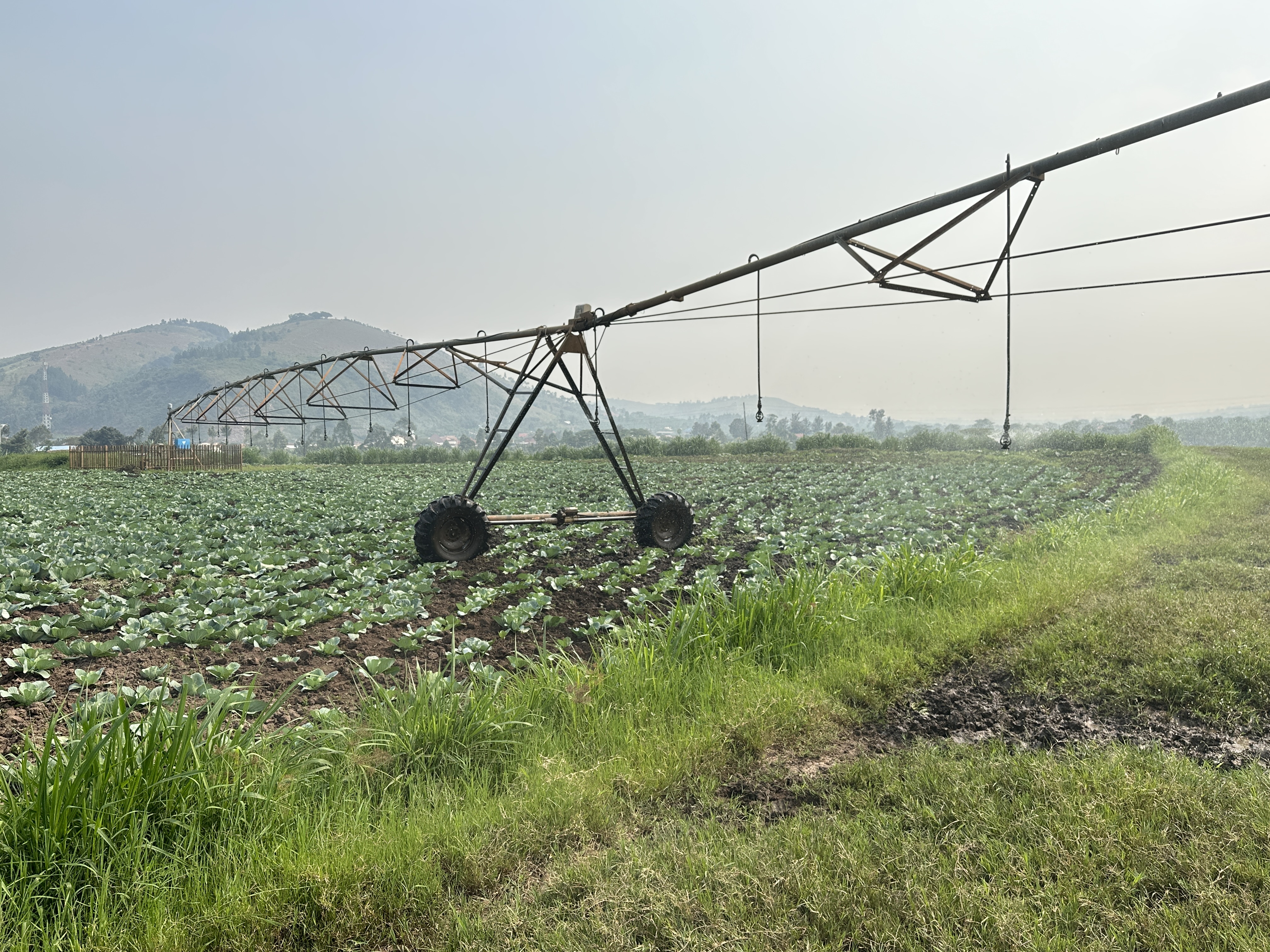 ルワンダ：灌漑水管理能力向上プロジェクトフェーズ２