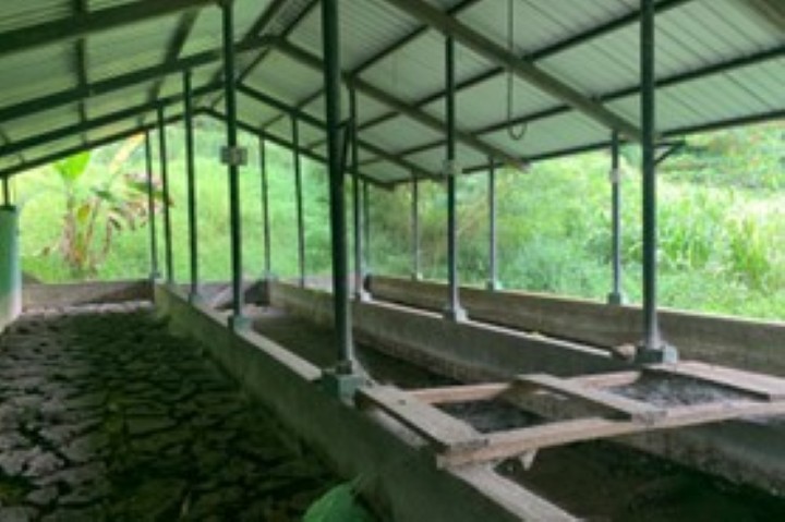 し尿汚泥の屋根付き乾燥床（サバラガムア州ラトナプラMC）