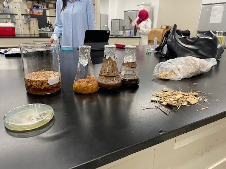 農作物残渣の活用に向けた基礎研究の様子