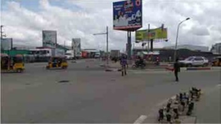 Free Port への入場を待つ輸送車両の列