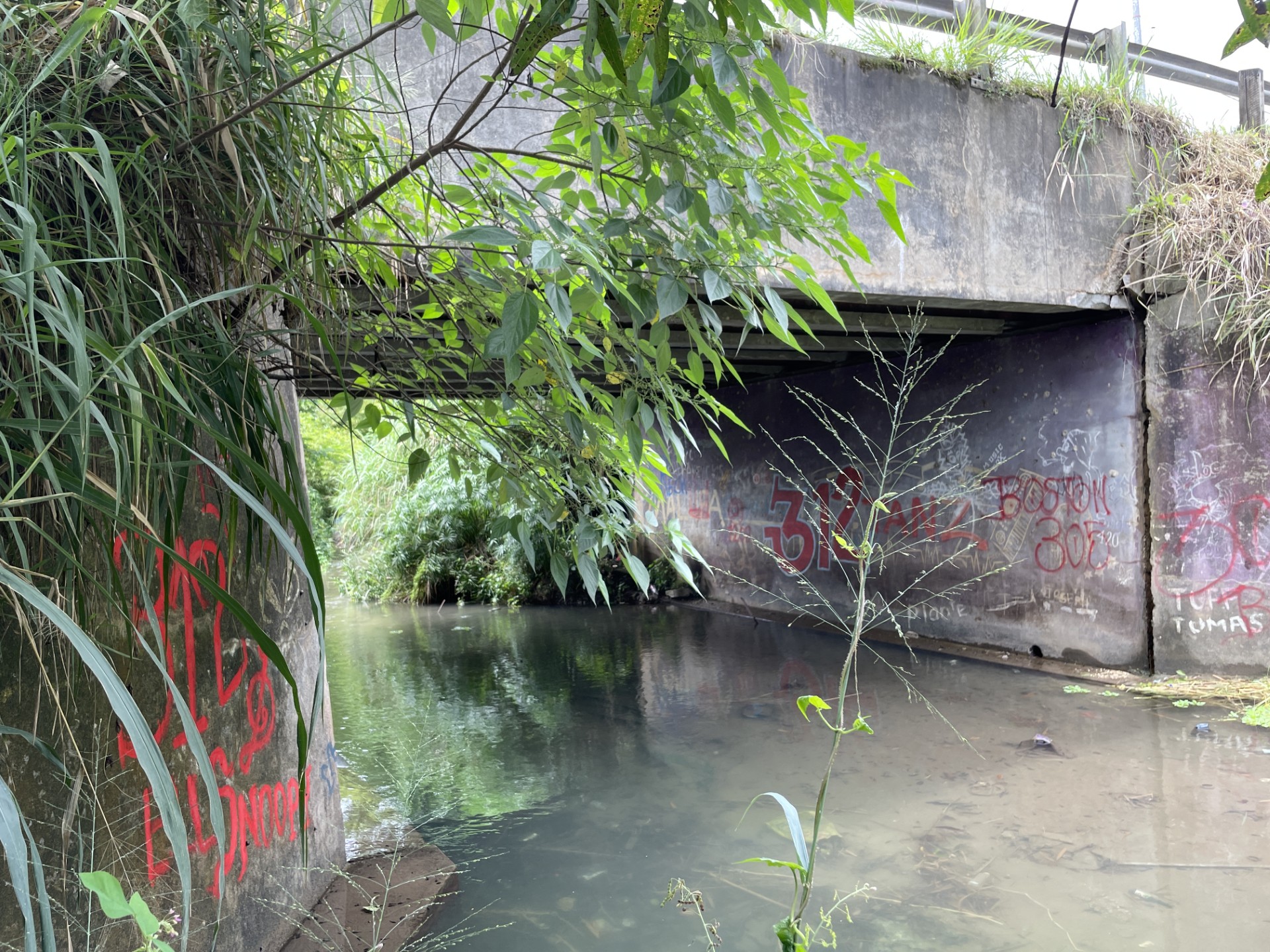 復旧工事の対象であるタガベ橋