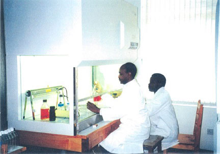 ムヒンビリ医療センター（以下、MMC）ウィルス検査室で働くカウンターパート