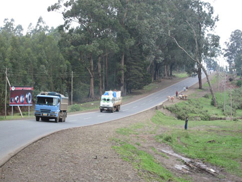 当該道路（アディスアベバ〜デブレズィケ間の国道3号線）は、アジスアベバとエチオピア北西部の穀倉地帯を結ぶ物流の主要幹線道路の一部として交通量が増加している。