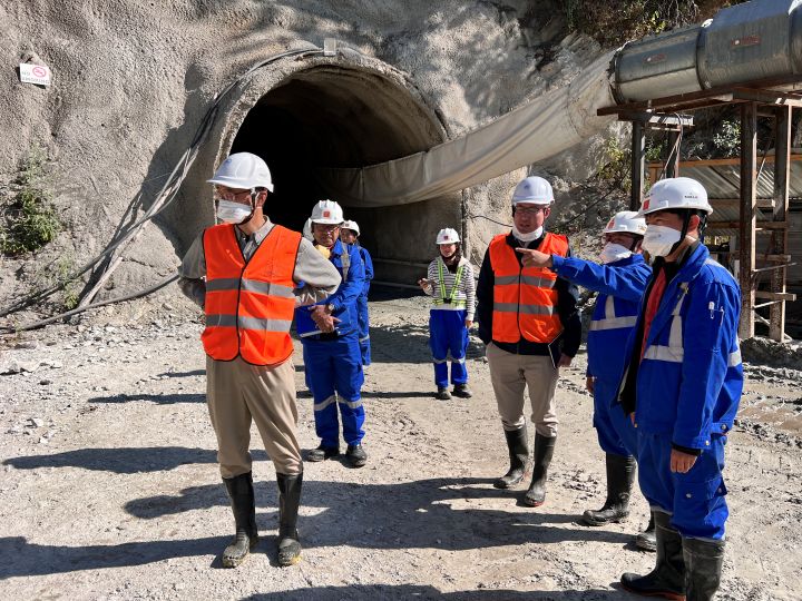 現地視察の様子