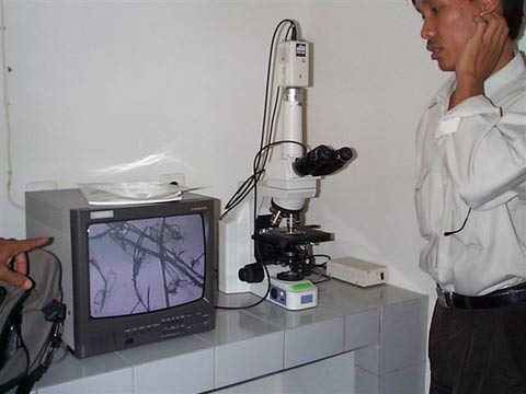 この協力で整備された林学部TV付電子顕微鏡