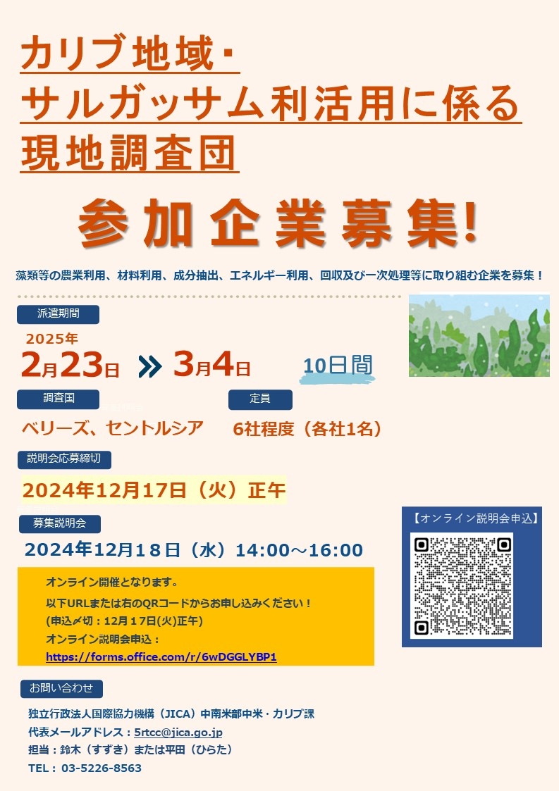 応募〆切：12月27日(金)正午】2024年度「カリブ地域サルガッサム