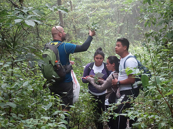 Revisión y recolección de plantas de la flora salvadoreña junto con estudiantes de la Universidad de El Salvador