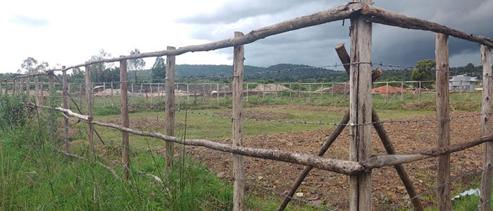 Plot designated to conduct a driving test on the soil prepared by the JICA project in Jinka University  