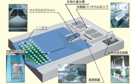 磐田市にある屋内型エビ生産システム（ISPS）（出所：一般社団法人閉鎖循環式陸上養殖推進協議会）