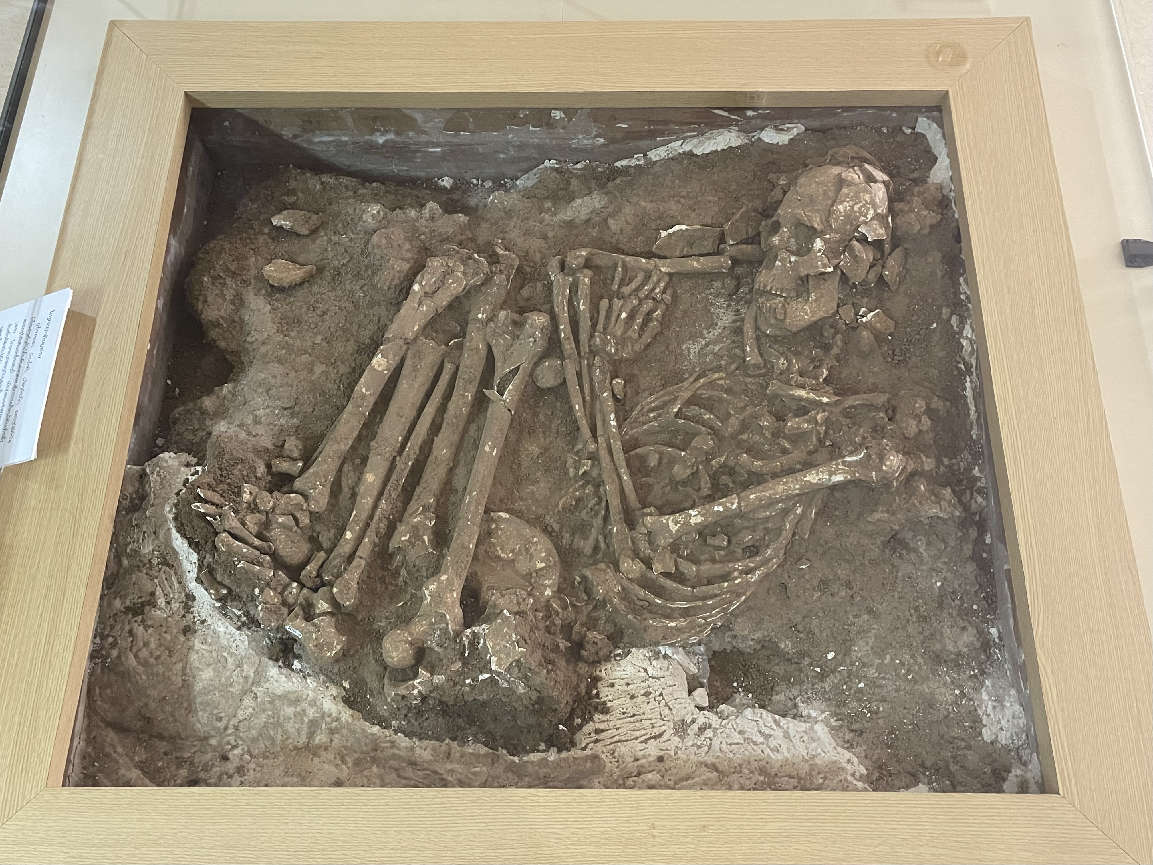 Buried human bones