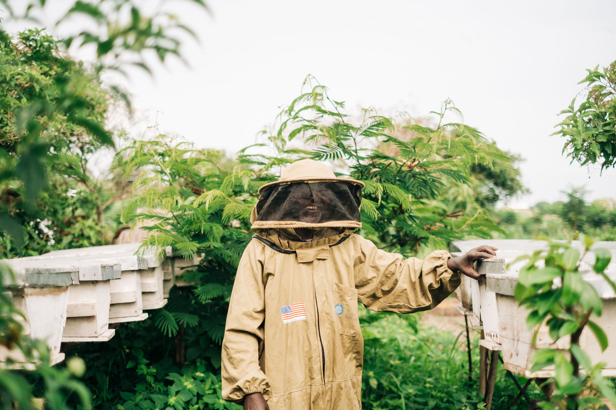 蜂蜜農家
