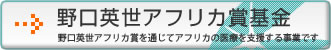 野口英世アフリカ賞基金
